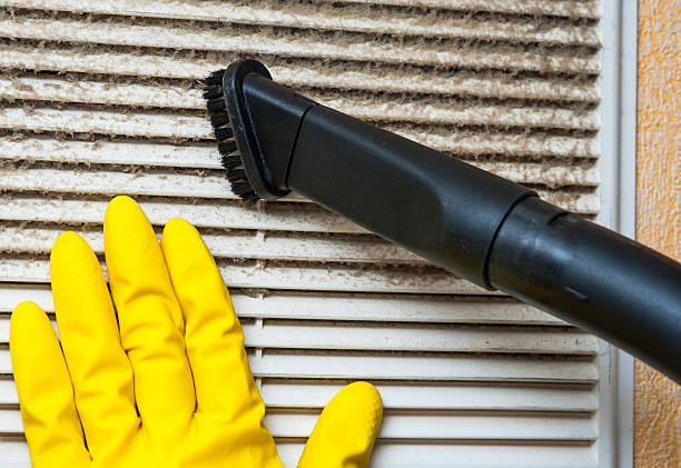 Best Home Air Vent Cleaning  in Bernice, LA